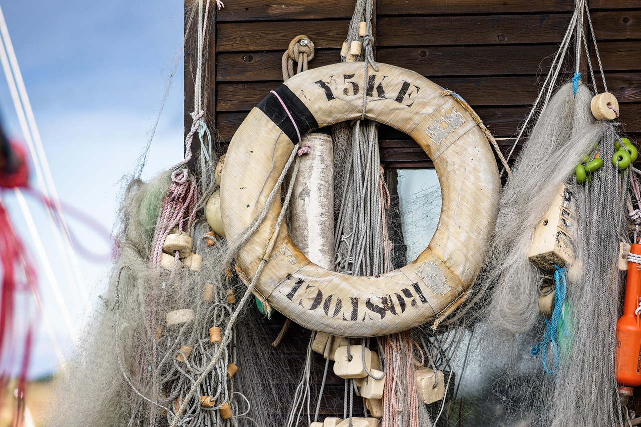 DDOS attack|无翼鸟详情下载教程app