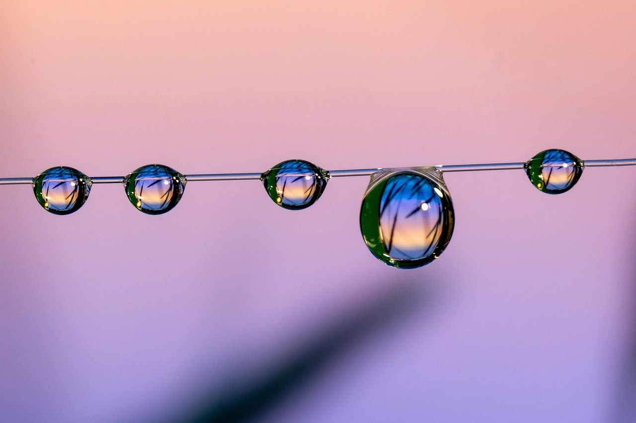 斗鱼 实名账号：流量卡和户外广告的关系