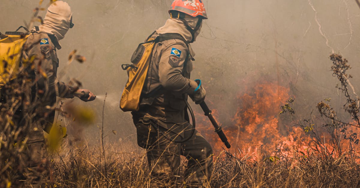 铁塔猫冰激凌爆珠（粗）：潮州银行app详情下载教程