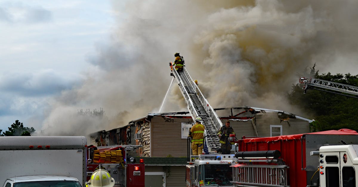 荣耀3如何通过网络调查收集来信息提高企业营销效果