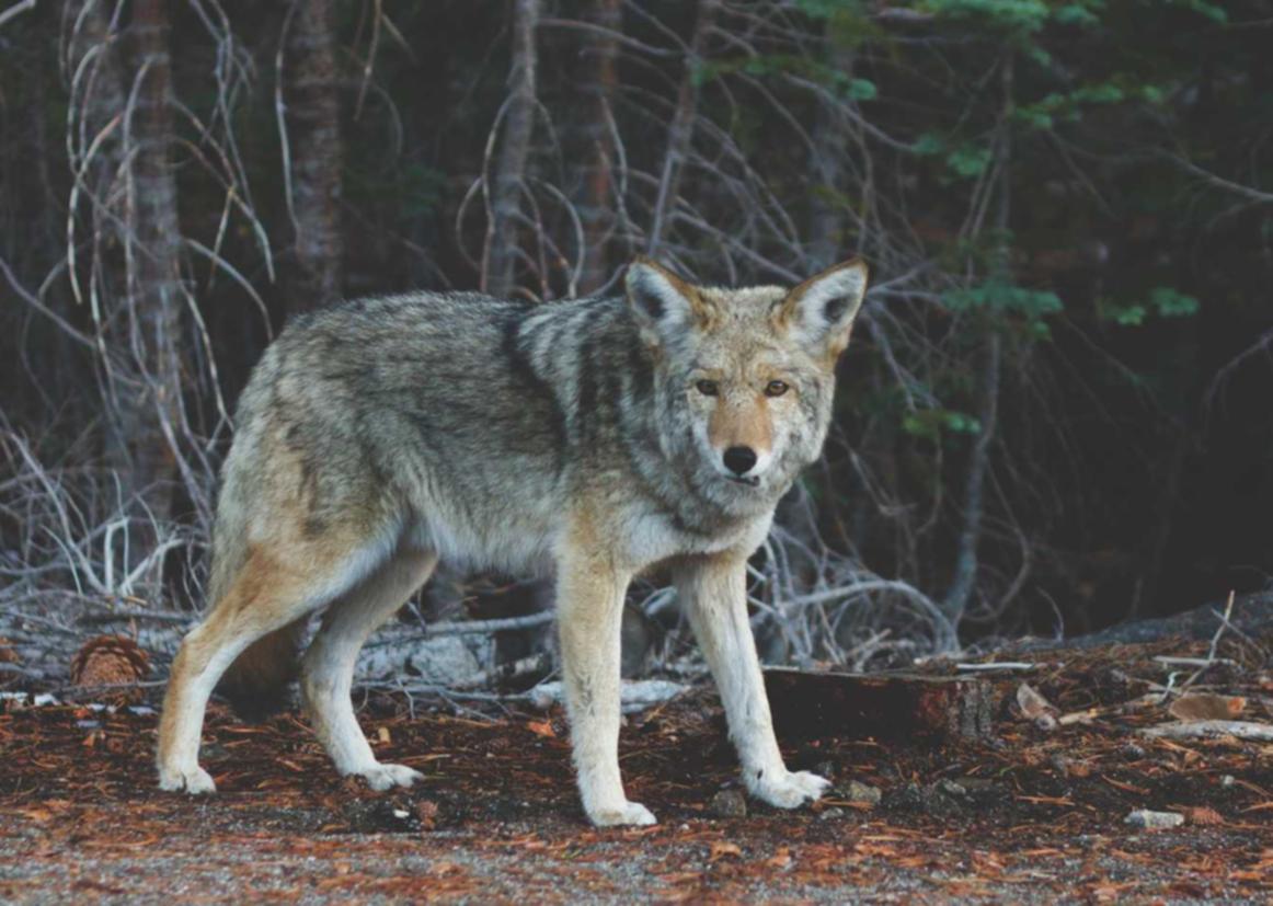 天翼云实名账号：注册错邮箱怎么激活账号