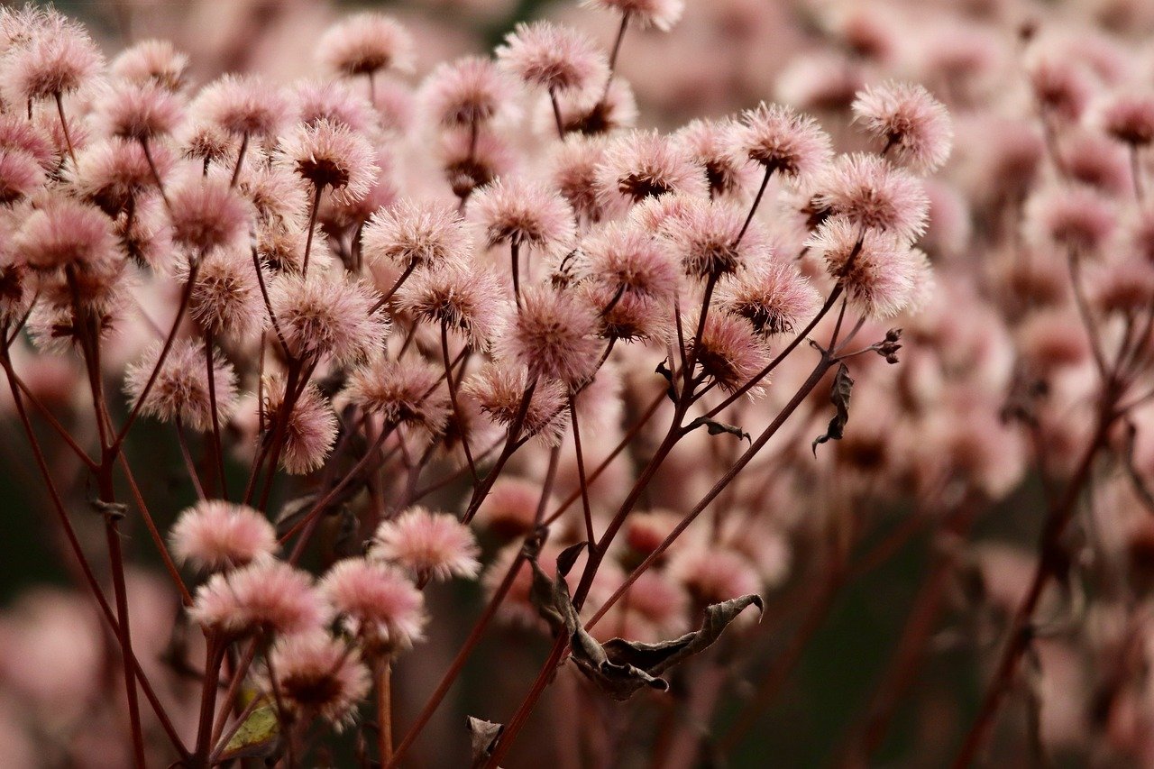 无限互联实名账号：代理注册公司开票