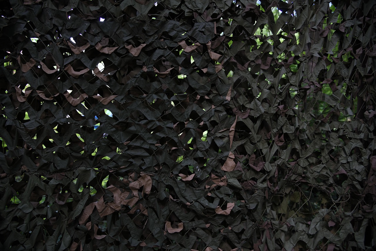 弹弹堂：网上购买平台英语